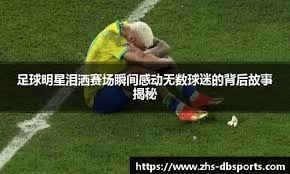 国际棒球赛事裁判尺度差异